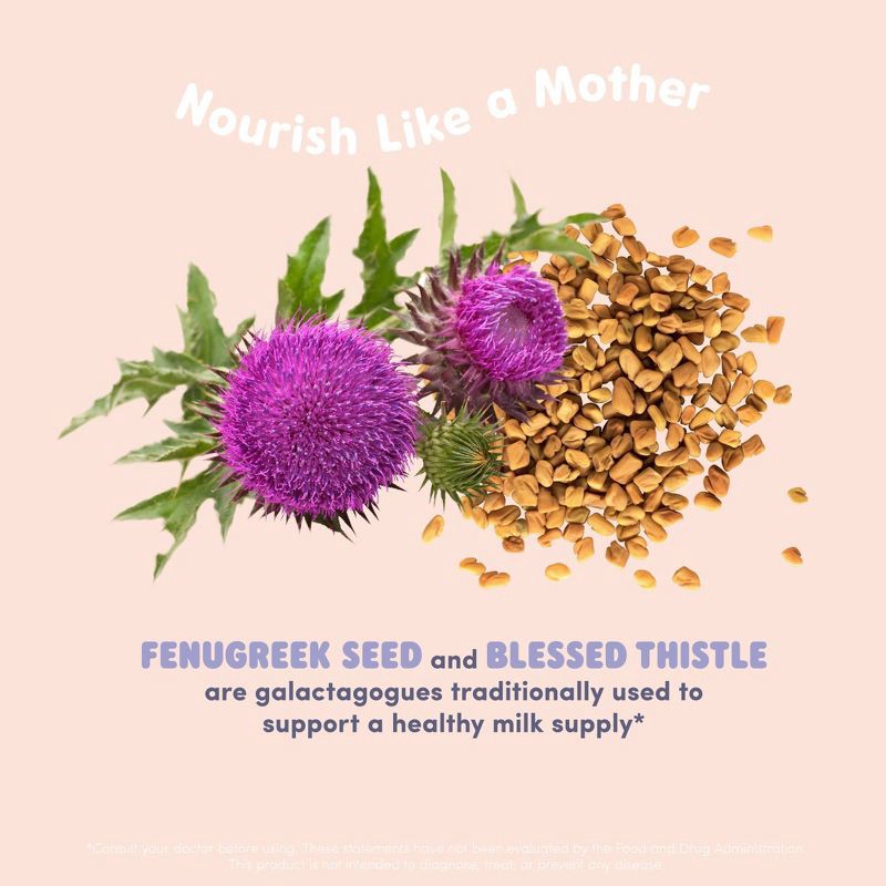 slide 5 of 7, Oat Mama Slay Mama Lactation Supplements - 60ct, 60 ct