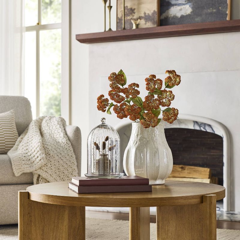 slide 2 of 4, Hearth & Hand with Magnolia 10" Decorative Cloche Clear - Hearth & Hand™ with Magnolia, 1 ct