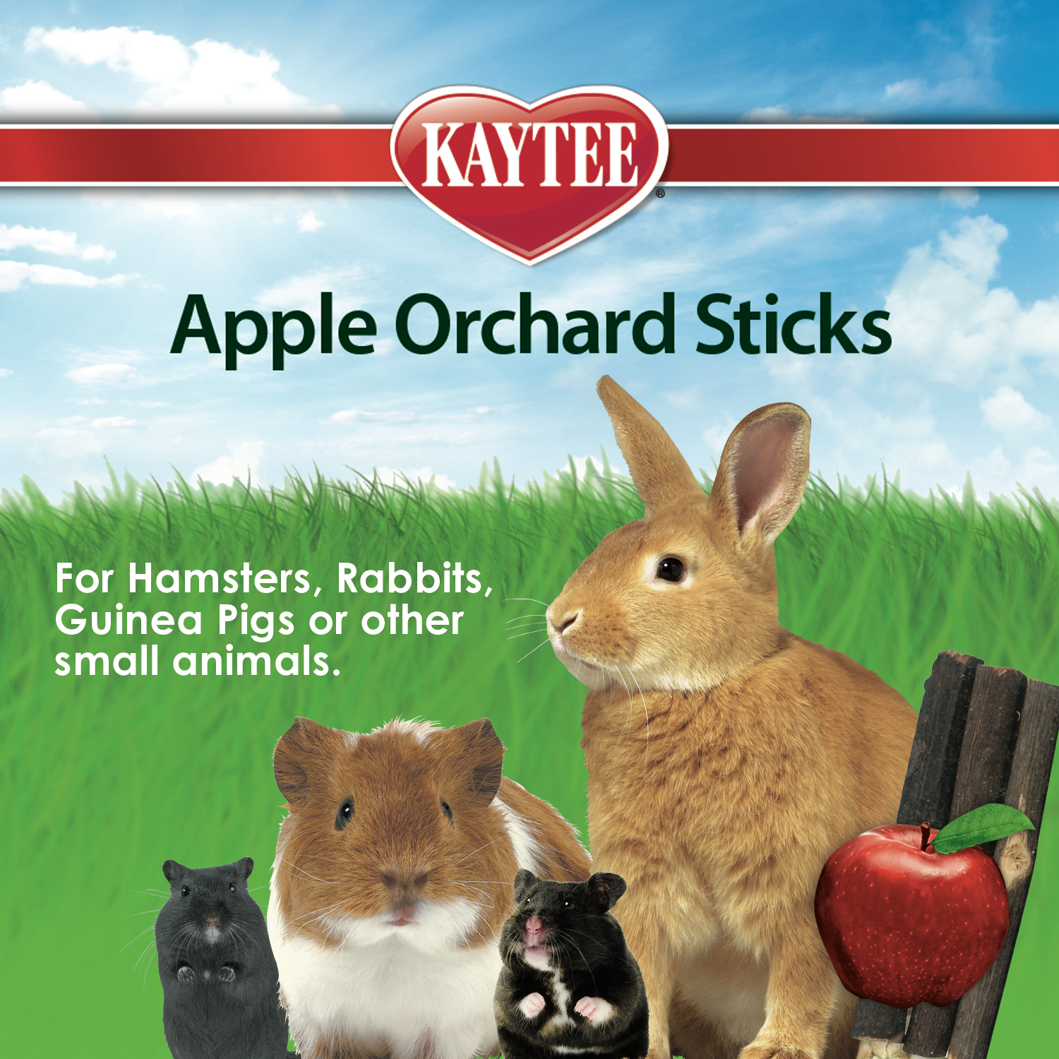 slide 7 of 8, Kaytee Hard Goods Kaytee Apple Orchard Sticks 10 Count, 1 ct