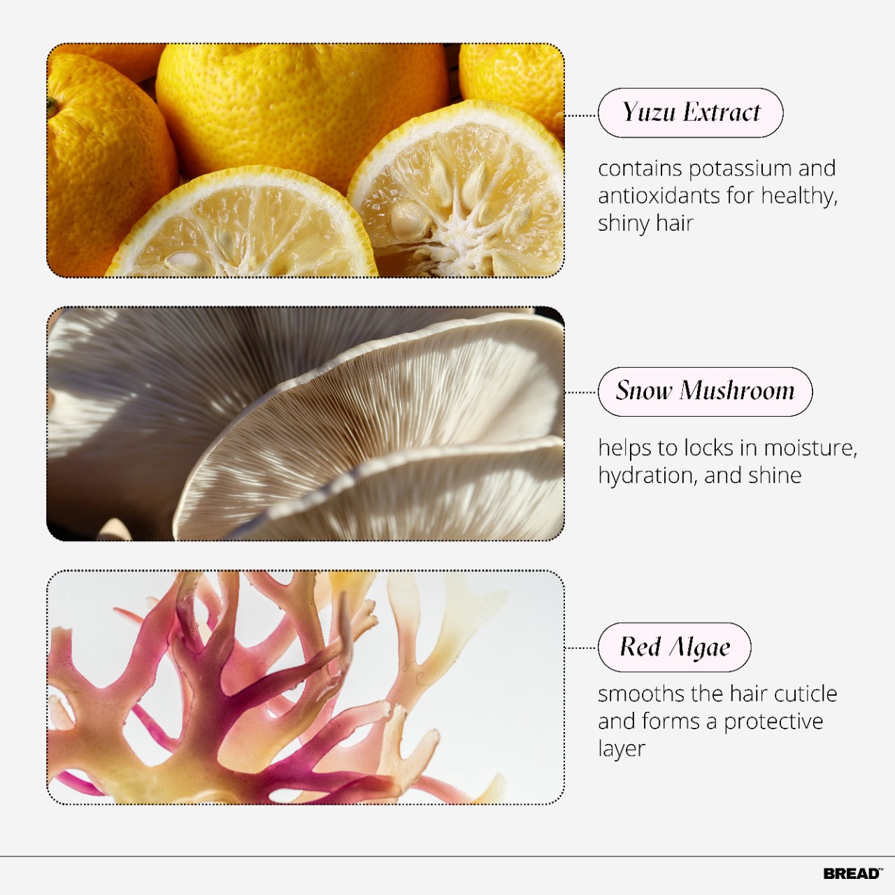 slide 8 of 8, BREAD BEAUTY SUPPLY Hair Gel: Curl Defining Botanical Styler 6.2 oz / 185 mL, 6.2 oz; 185 ml