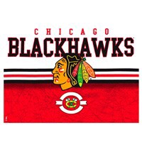 slide 3 of 5, Tervis NHL Chicago Blackhawks Core Tumbler with Travel Lid, 24 oz