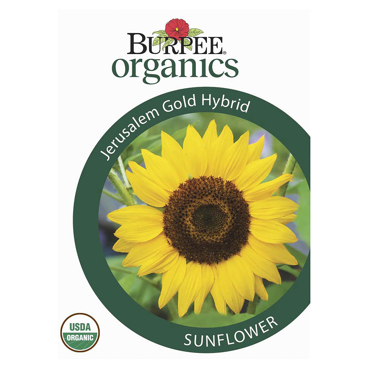 slide 1 of 5, Burpee Organic Sunflower Jerusalem Hybrid Gold Seeds, 1 ct