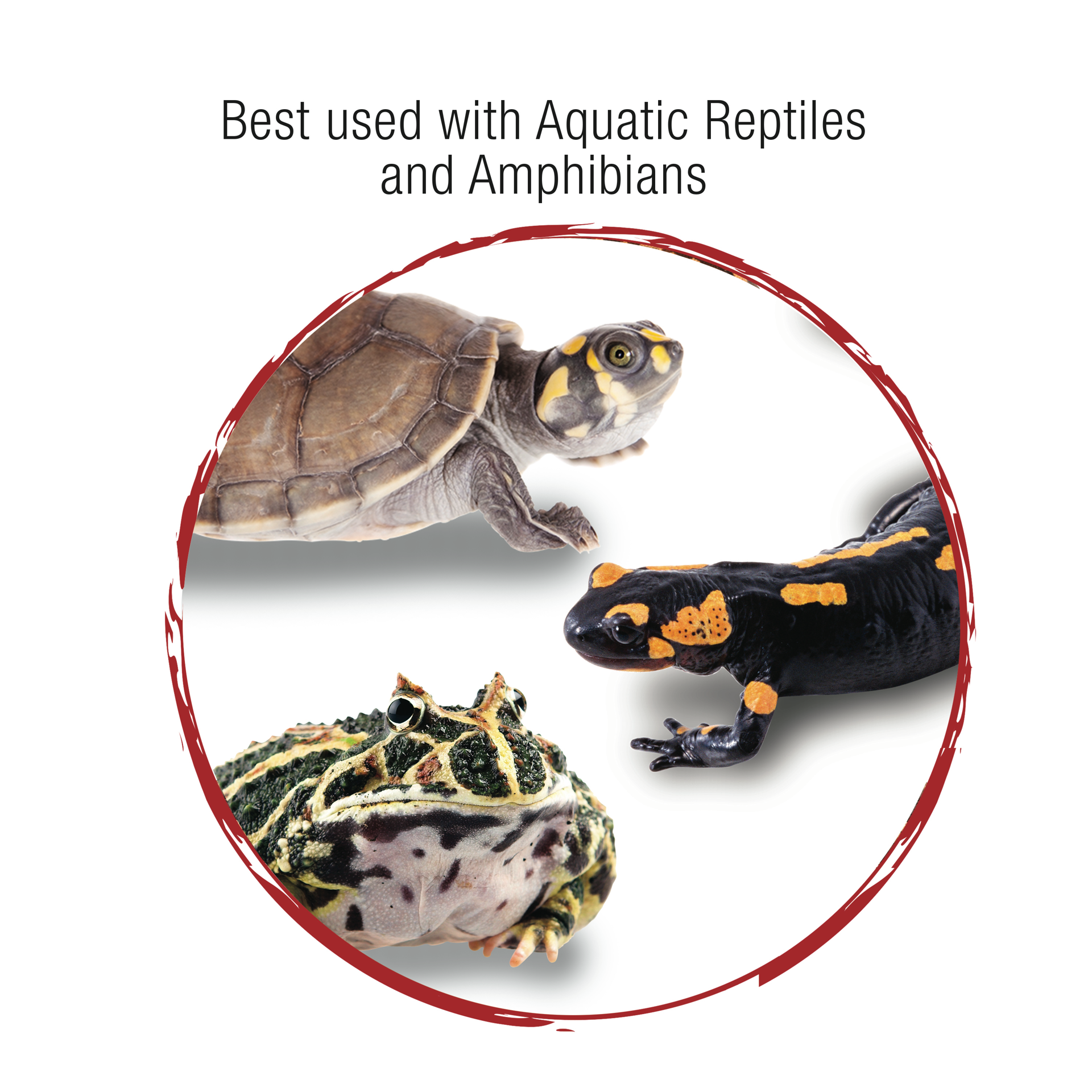 slide 2 of 10, Zilla Internal Filter for Aquatic Reptiles, 20 gal