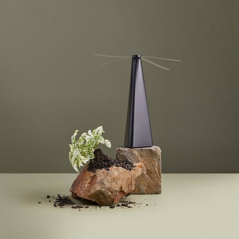 slide 3 of 8, BERNINI 2pk Fly Fan Black, 2 ct