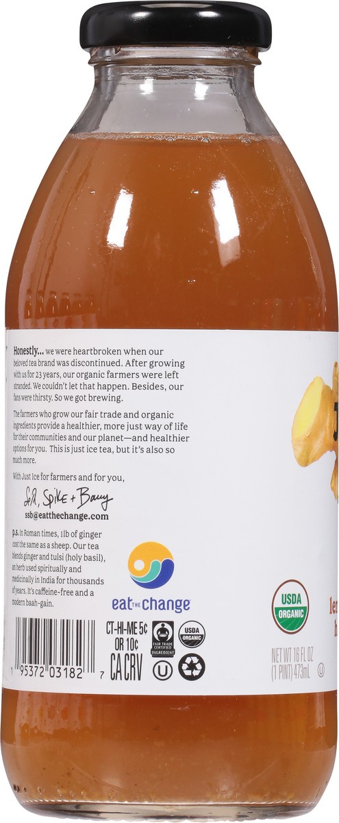 slide 5 of 9, JUST ICE TEA Eat The Change Lemon Ginger Herbal Tea Organic - 16 fl oz, 16 fl oz