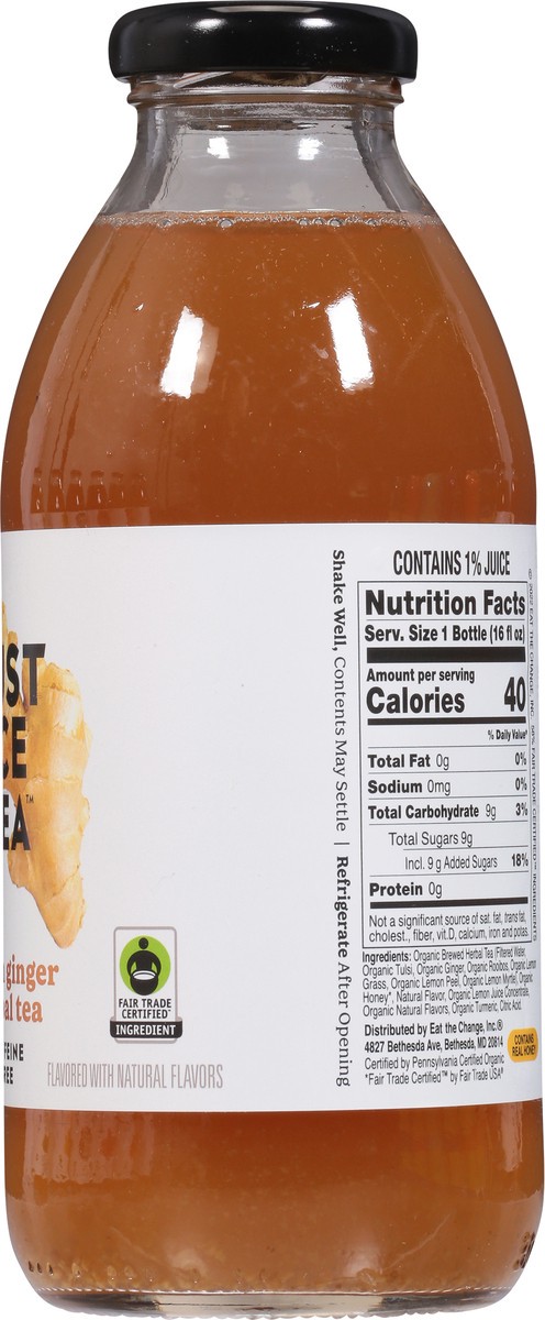 slide 2 of 9, JUST ICE TEA Eat The Change Lemon Ginger Herbal Tea Organic - 16 fl oz, 16 fl oz