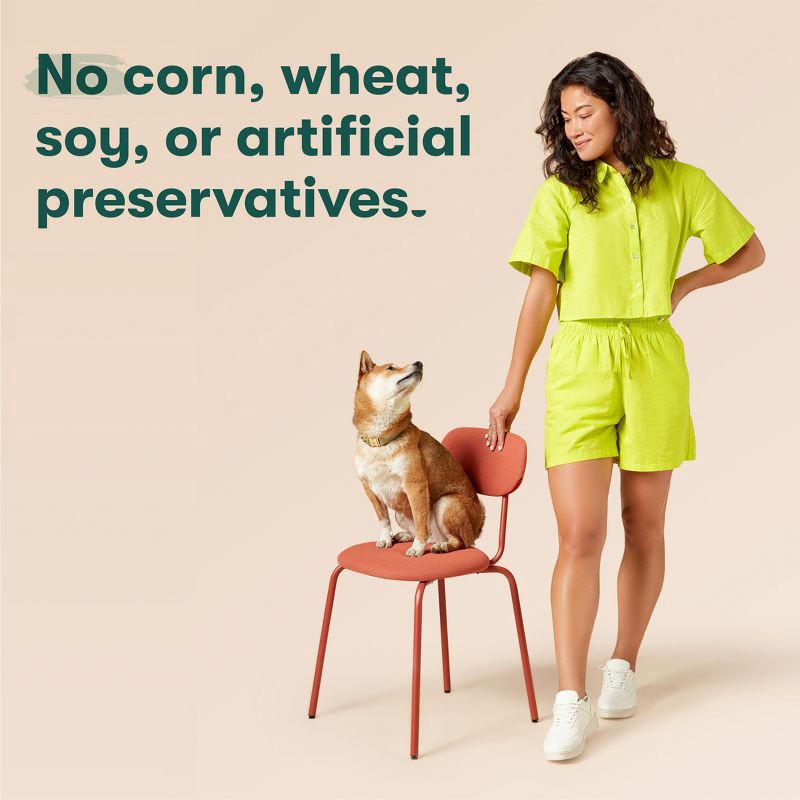 slide 6 of 10, Jinx Chicken Flavor Pate Wet Dog Food - 13oz, 13 oz