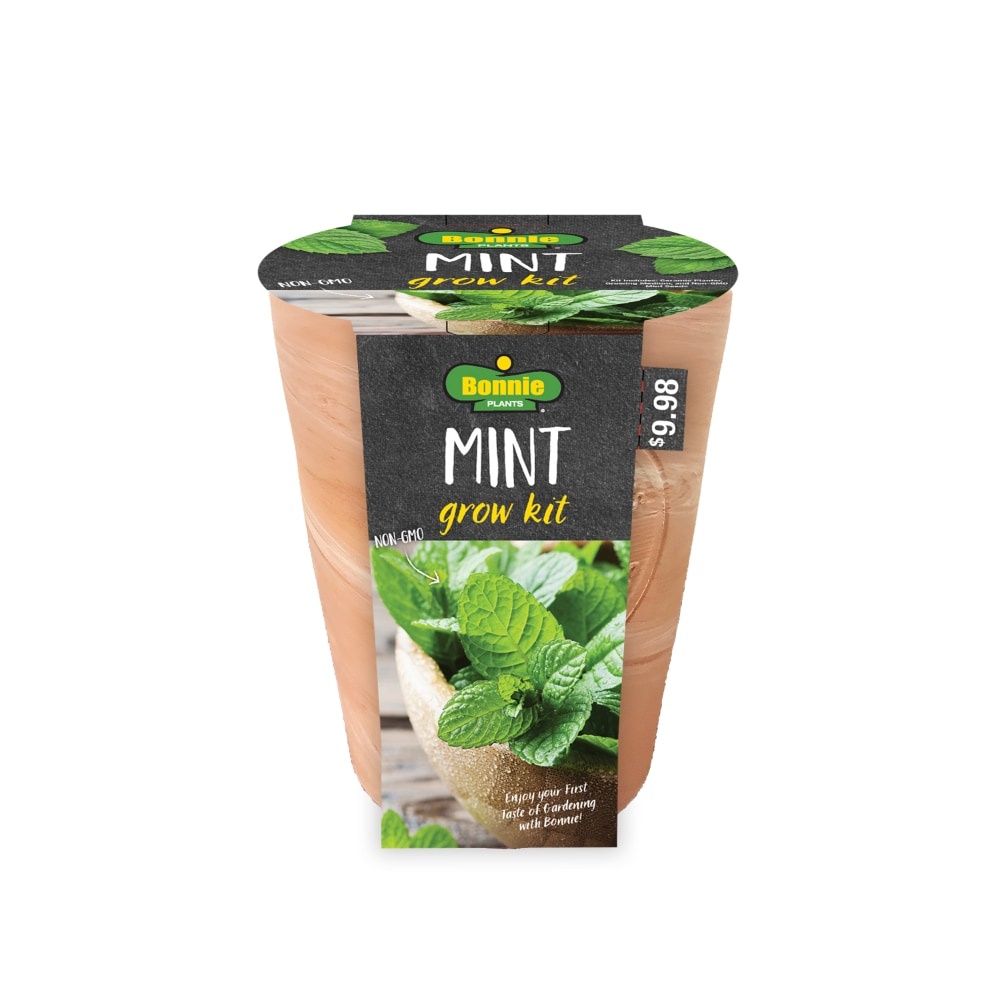 slide 1 of 1, Bonnie Plants Mint Seeds Growing Kit, 1 ct