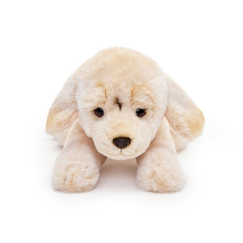 slide 6 of 7, FAO Schwarz 15" Adopt-A-Pets Plush Labrador, 1 ct
