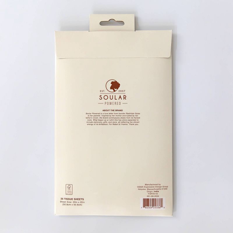 slide 2 of 4, Soular Powered 25ct Christmas Tissue Paper Snowflakes, 25 ct