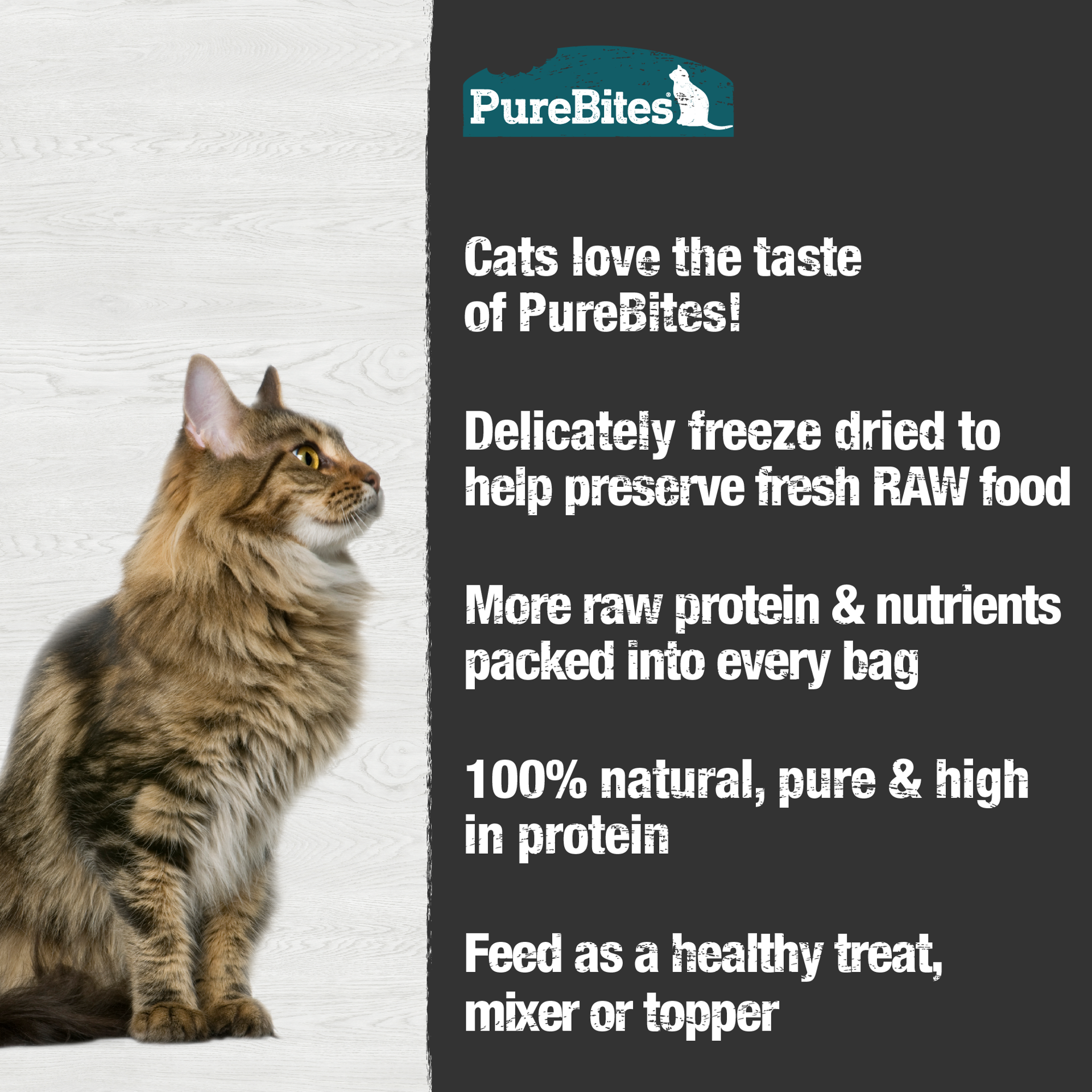 slide 4 of 5, PureBites Freeze Dried Minnow Cat Treats 66g | 1 Ingredient | Made in USA, 66 g