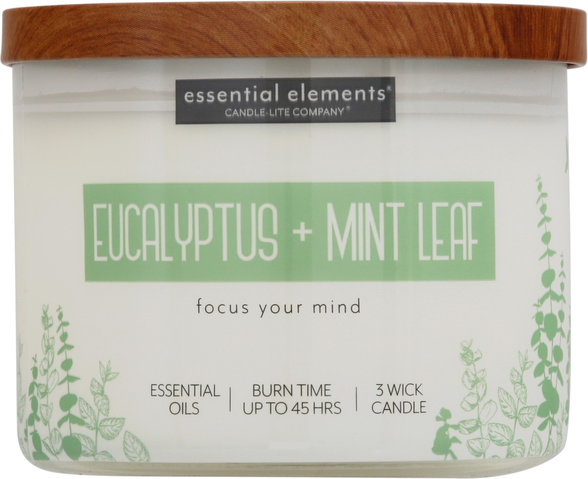 slide 6 of 9, Essential Elements 3 Wick Eucalyptus + Mint Leaf Candle 1 ea, 1 ct