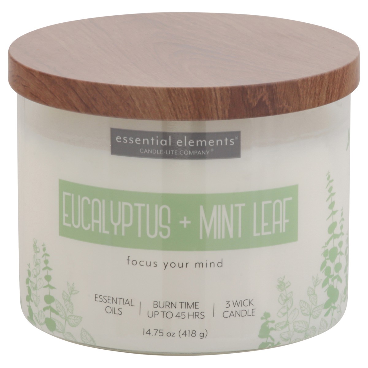 slide 1 of 9, Essential Elements 3 Wick Eucalyptus + Mint Leaf Candle 1 ea, 1 ct