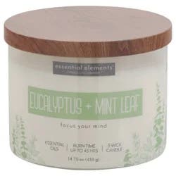 Essential Elements 3 Wick Eucalyptus + Mint Leaf Candle 1 ea
