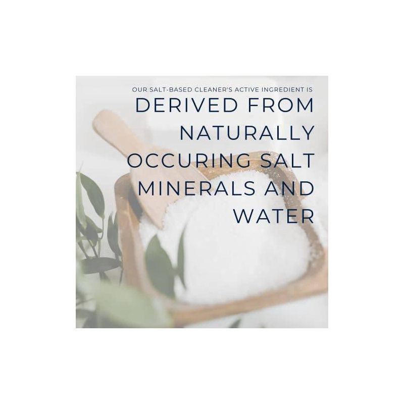 slide 3 of 7, Morton Pro EPA Deodorizing Disinfectant and Sanitizer - 32 fl oz, 32 fl oz