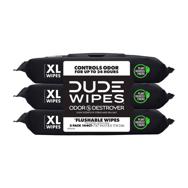 slide 1 of 7, Dude Wipes Odor Destroyer Flushable Personal Wipes - 48ct/3pk, 48 ct, 3 ct