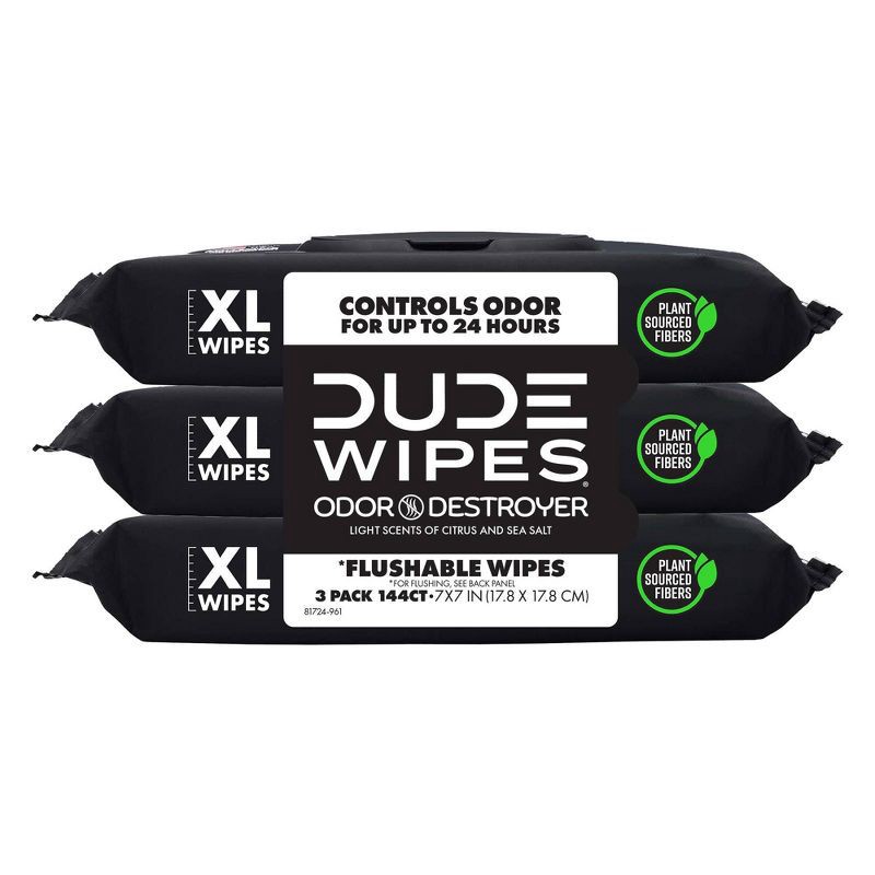 slide 1 of 6, Dude Wipes Odor Destroyer Flushable Extra-Large Odor Neutralizing Wet Personal Wipes - 144ct, 144 ct