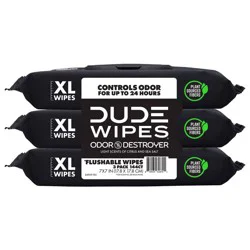 Dude Wipes Odor Destroyer Flushable Personal Wipes - 48ct/3pk