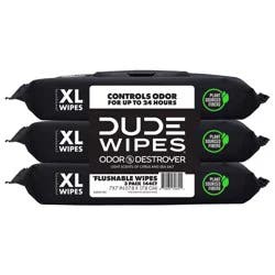 Dude Wipes Odor Destroyer Flushable Personal Wipes - 48ct/3pk
