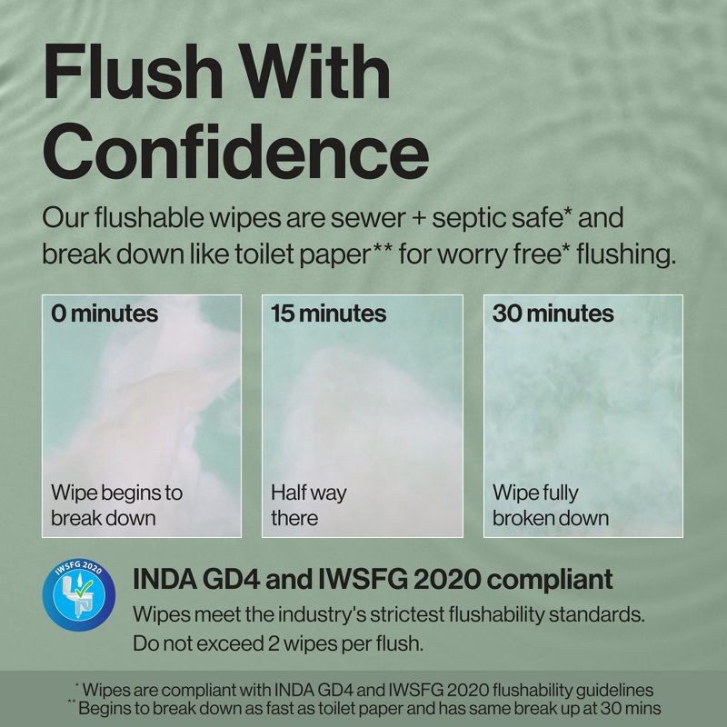 slide 4 of 15, The Honest Company Flushable Wipes - Gilded Wings - 126ct, 126 ct