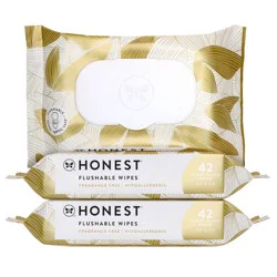The Honest Company Flushable Wipes - Gilded Wings - 126ct