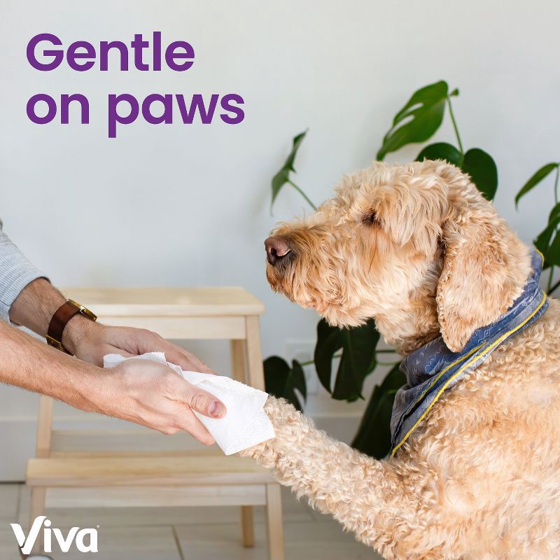 slide 10 of 10, Viva Signature Cloth Paper Towel - 2 Quad Rolls, 1 ct