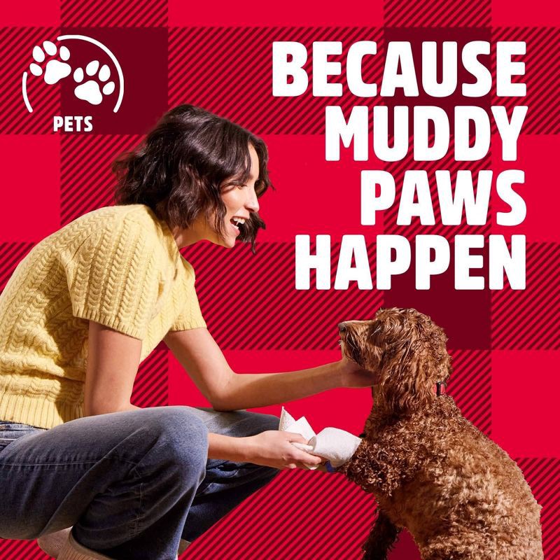 slide 7 of 9, Brawny Tear-A-Square Paper 3-Ply Paper Towels - 6 Triple Rolls, 1 ct