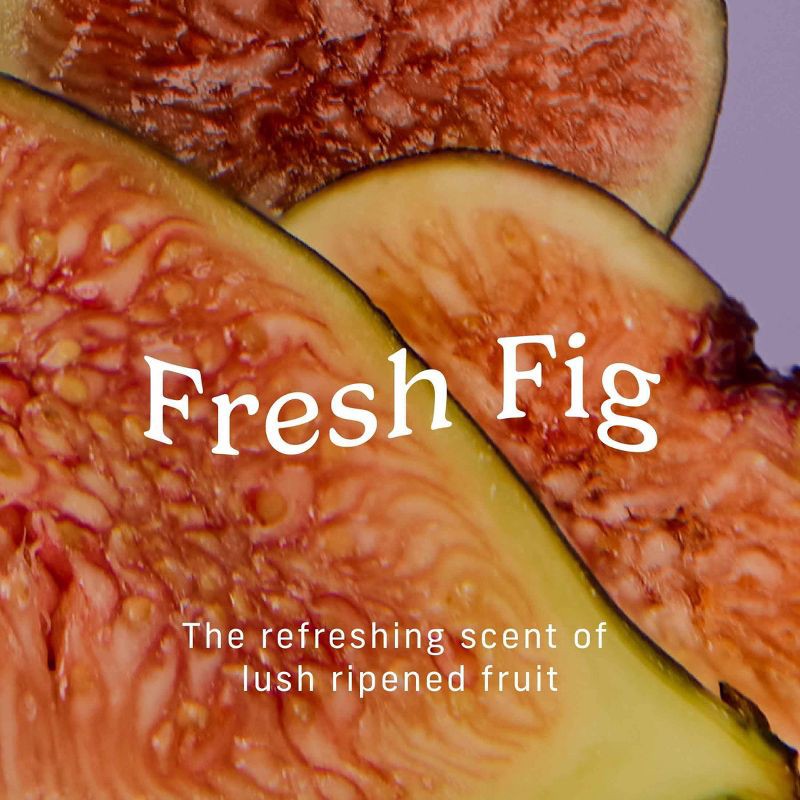 slide 5 of 13, Niches & Nooks Intimate pH Balanced Body Spray & Fabric Fragrance Mist - Fresh Fig - 4.2 fl oz, 4.2 fl oz