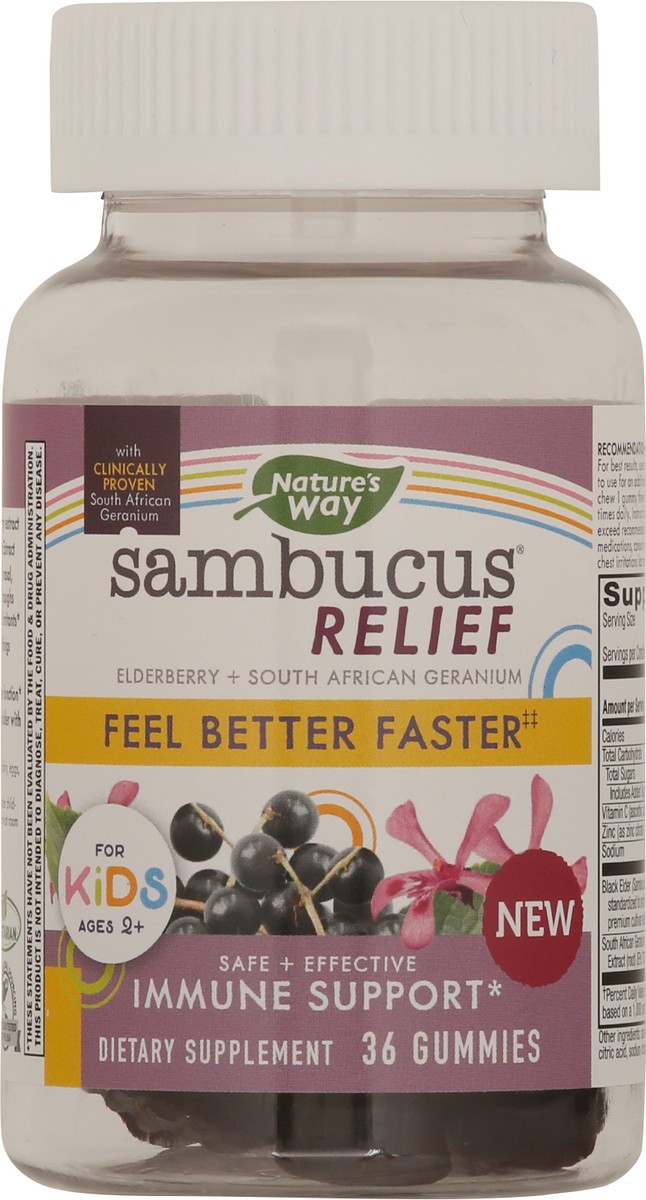 slide 4 of 9, Nature's Way Sambucus Kids Gummies, 36 ct