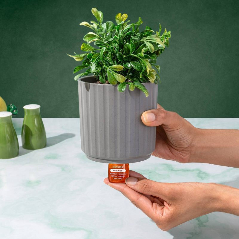 slide 7 of 8, Lifelines Citrus Grove Essential Oil Clickwick, 1 ct