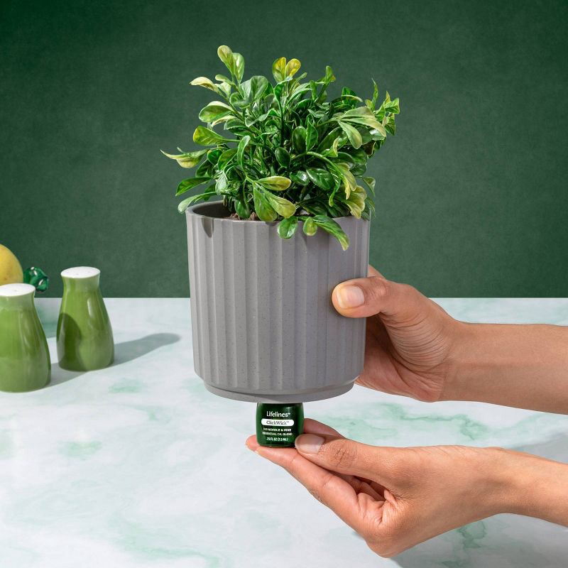 slide 7 of 8, Lifelines Walk in the Woods Essential Oil Clickwick, 1 ct