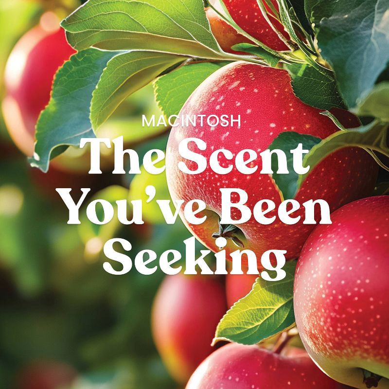 slide 7 of 8, Original Large Jar Macintosh Candle 22oz - Yankee Candle, 22 oz