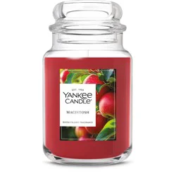 Original Large Jar Macintosh Candle 22oz - Yankee Candle