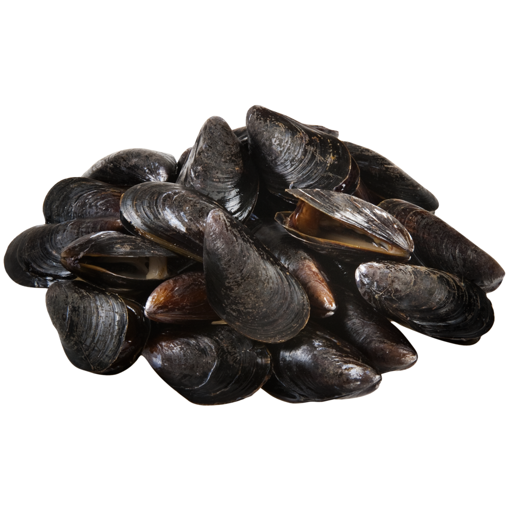 slide 1 of 1, Open Acres Live Black Mussels, 2 lb