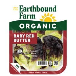 Earthbound Farm Organic Red Baby Butter Lettuce