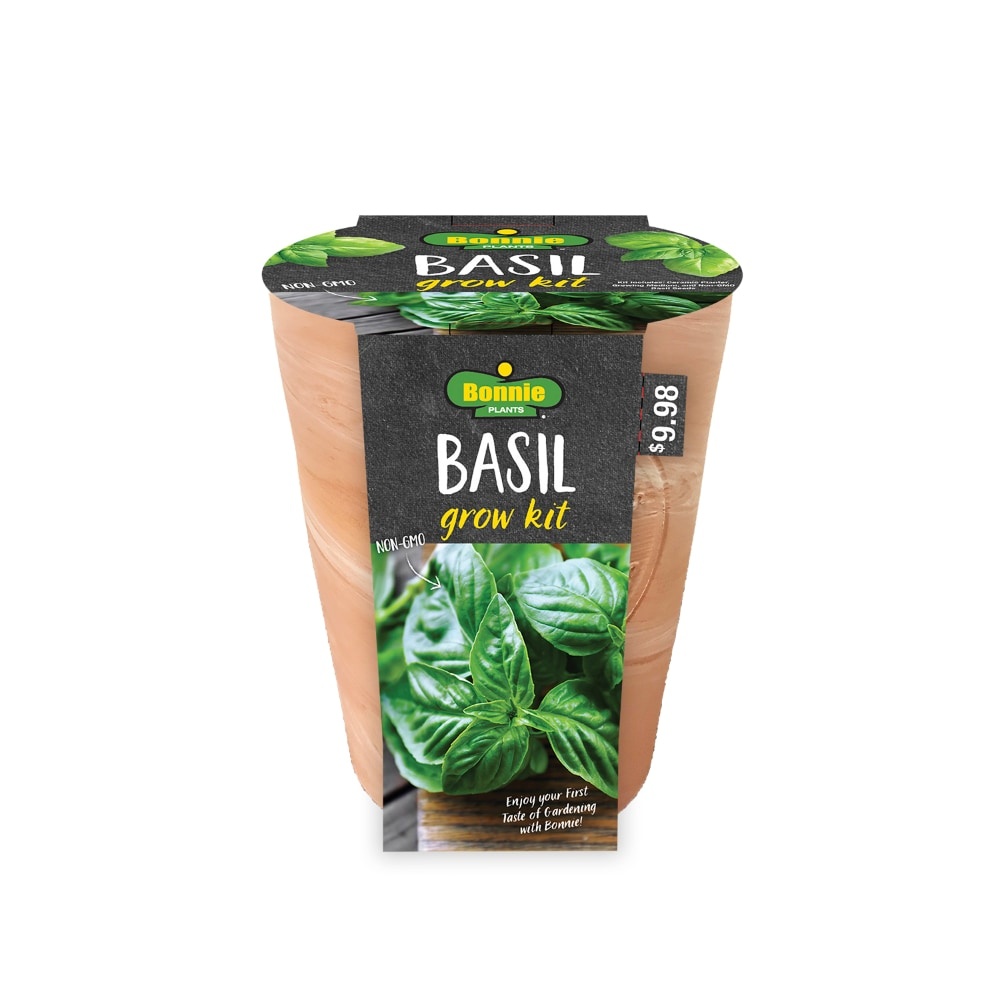 slide 1 of 1, Bonnie Plants Basil Seeds Growing Kit, 1 ct