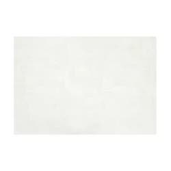 Room & Retreat Brushed Texture Placemat Linen