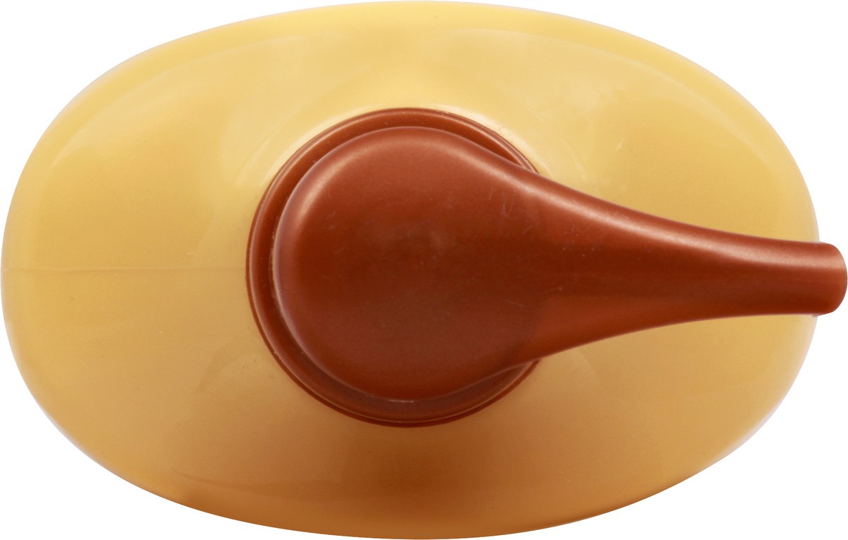 slide 9 of 9, Garnier Whole Blends Repairing Conditioner Honey Treasures for Damaged Hair - 26.6 fl oz, 26.6 oz