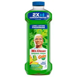 Mr. Clean All Purpose Cleaner, Floor Cleaner for Mopping, Cleaning Liquid, Gain, 23oz