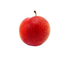 Fresh Cherry Plum