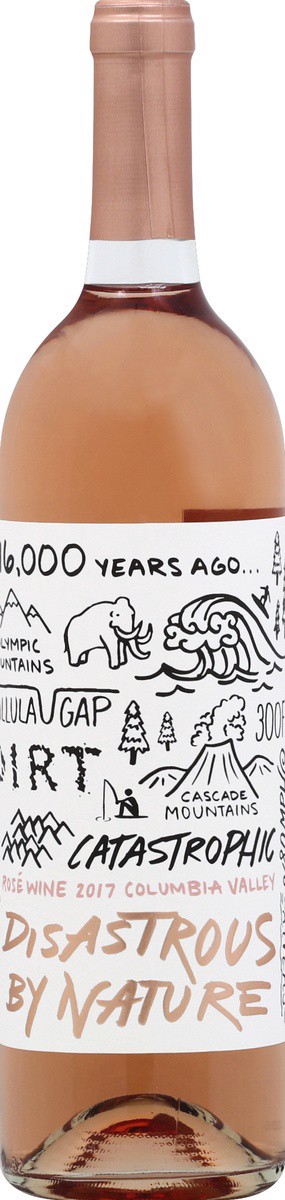 slide 2 of 2, Disastrous by Nature Rose Wine 750 ml, 750 ml