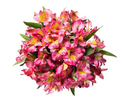 slide 1 of 1, Debi Lilly Design Alstroemeria 15 St Dry, 15 st