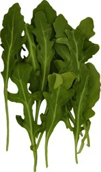 Arugula