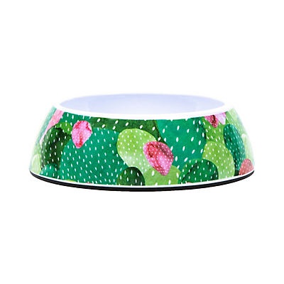 slide 1 of 1, Woof and Whiskers Non-skid Melamine Pet Bowl Prickly Pear, 1 ct