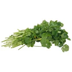 Giant Eagle Cilantro, Bunched