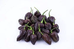 Chocolate Habanero Peppers