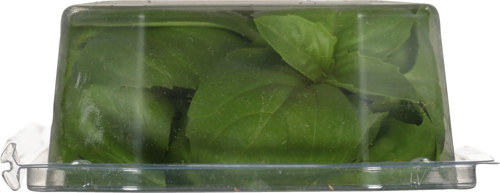slide 3 of 6, Living Org Fresh Basil, 6 ct