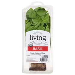 Living Org Fresh Basil
