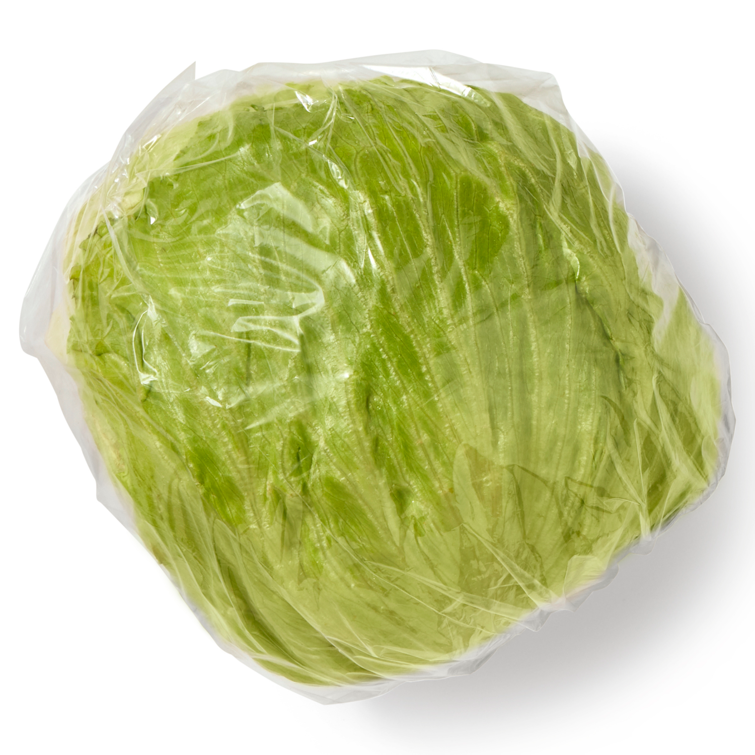 slide 1 of 2, Organic Iceberg Lettuce, 1 ct