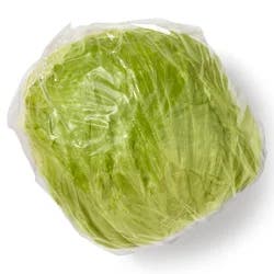 Organic Iceberg Lettuce